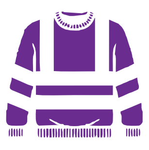 Hi Vis Hoodie & Sweat icon